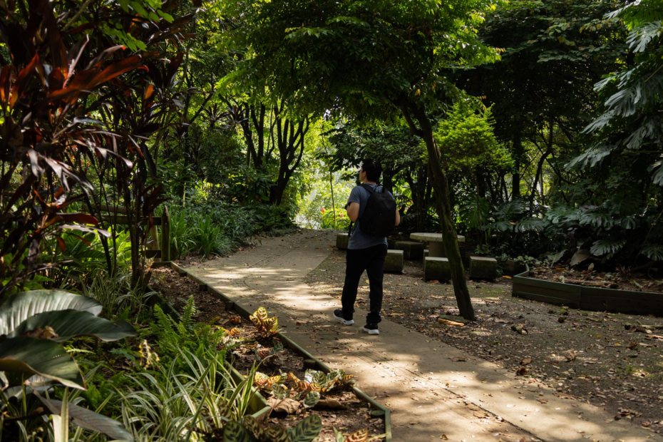 Silent Walking