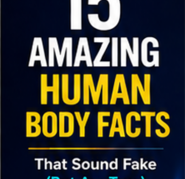 Human Body Facts
